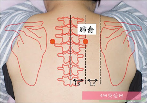 Người có 3 bộ phận này càng sạch thì càng sống thọ: Nếu bạn chưa có thì nên phấn đấu - Ảnh 4.